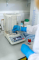 lab